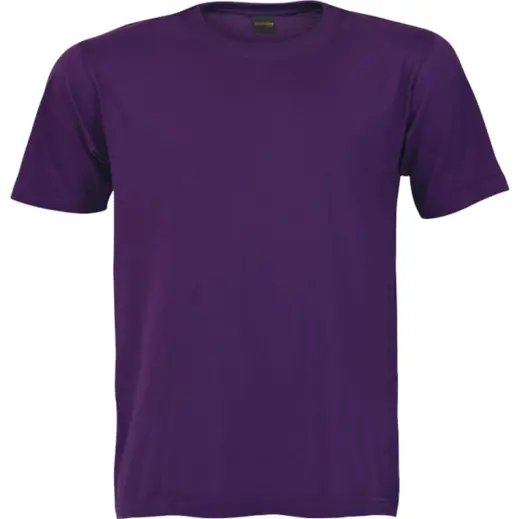 145g Barron Crew Neck T-Shirt Vivid Purple